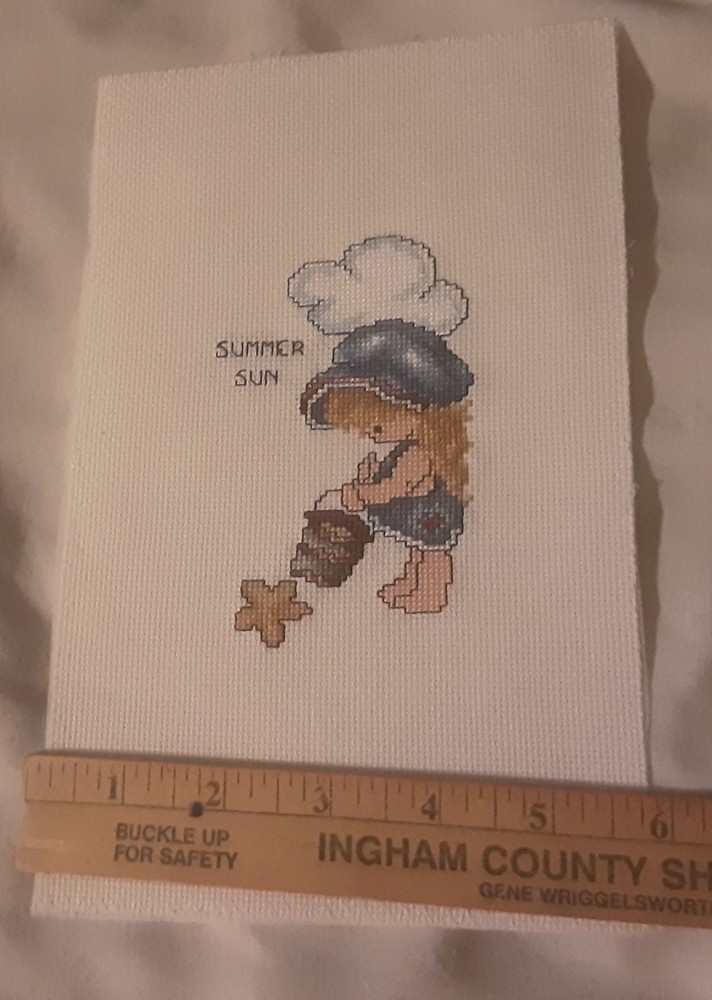 Unframed Finished Cross Stitch Summer Fun
