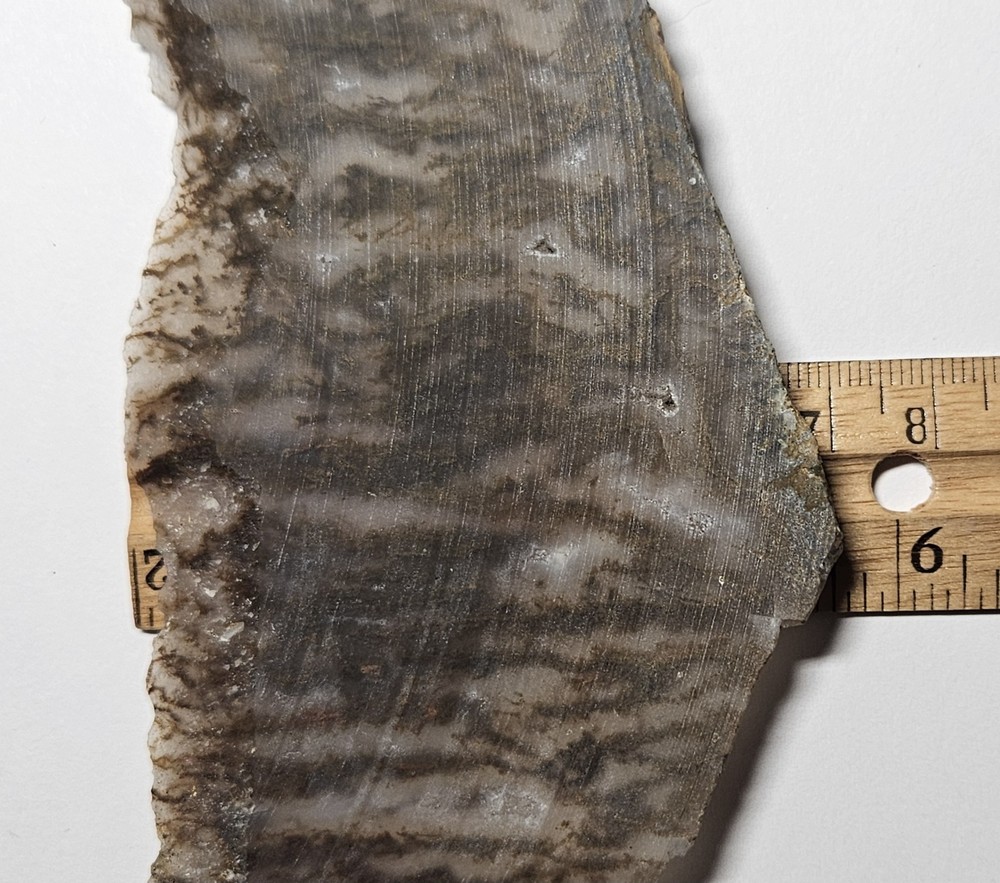 Plume Agate Thin Slab 63 Grams