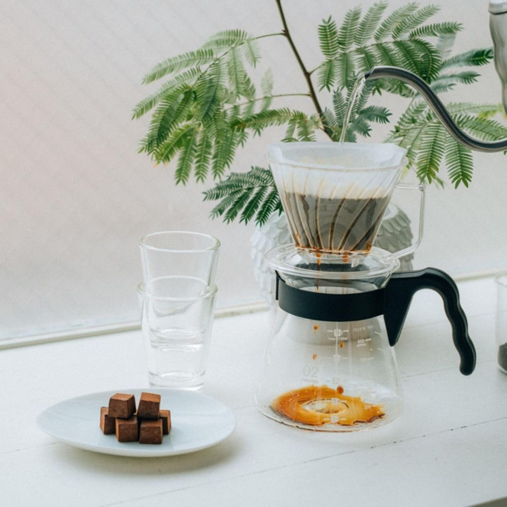 Pegasus Flat Bottom Dripper, Size 02, Clear