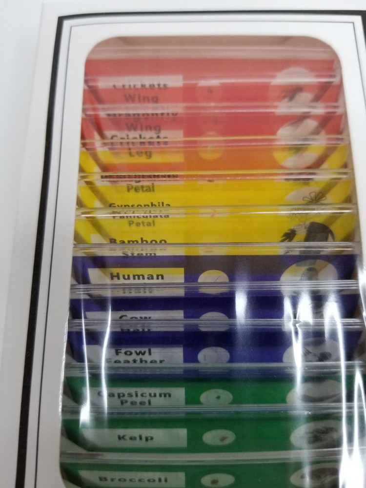 Prepared Microscope Slides Plants And Insects Home School Educational