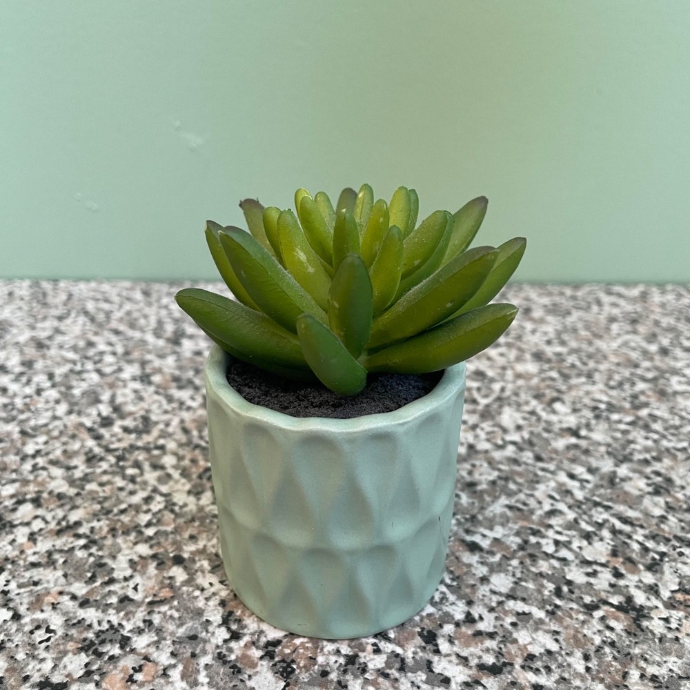 Small Ceramic Succulent Planter Pot Tiny Flower Plant Home Decor