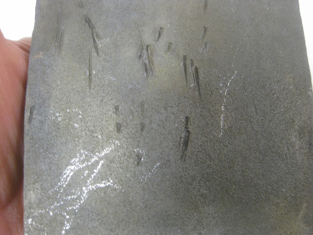 Vintage Single Bit Axe Head Unmarked 4 lbs. Woodsman Camping