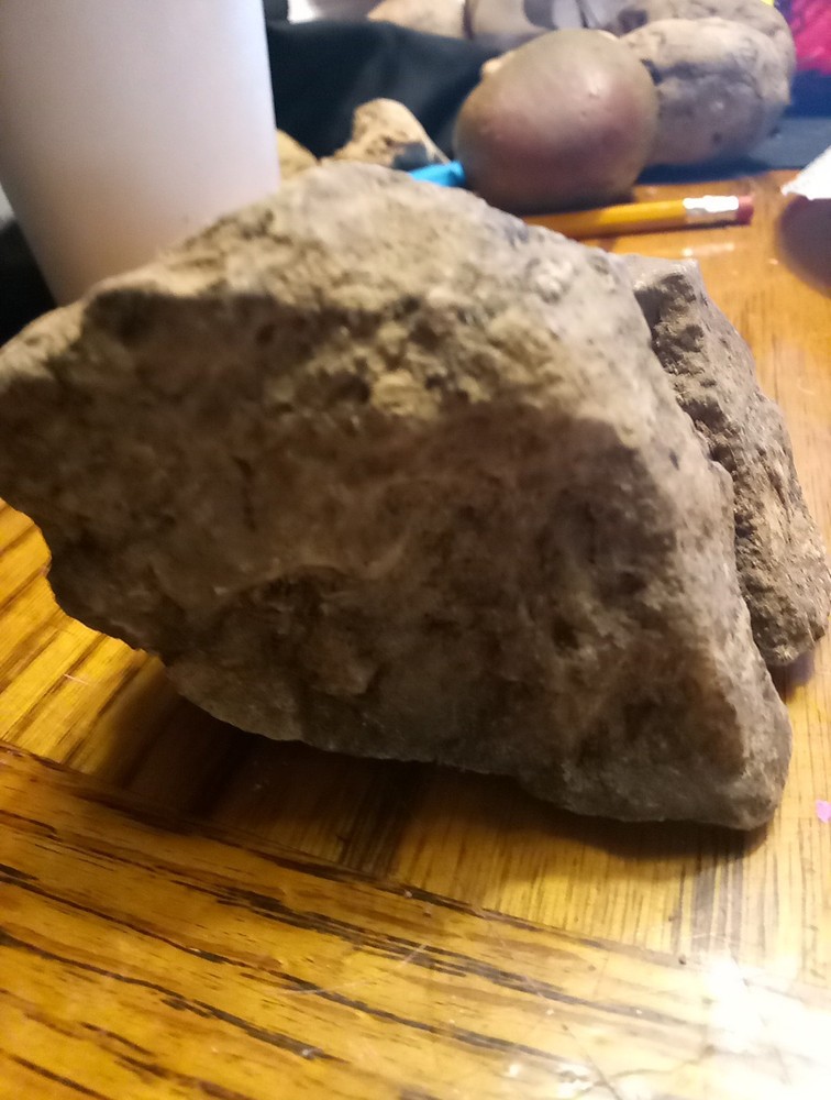 Fossils