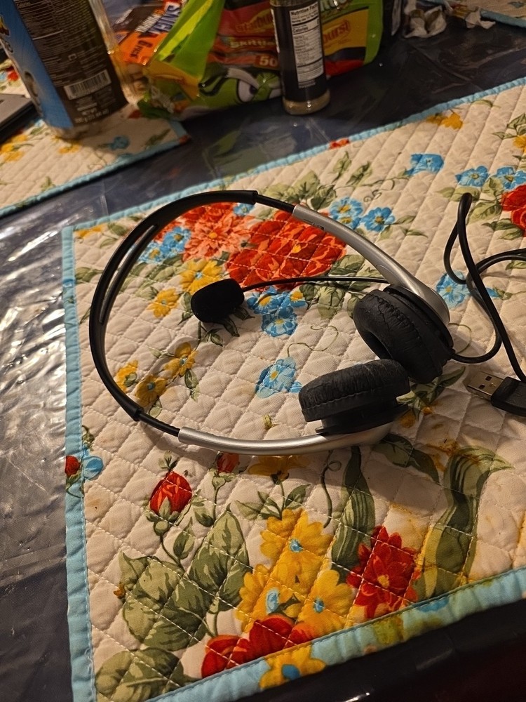 Logitech Over the Ear Headset And Microphone