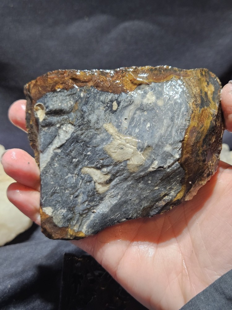 Biggs Jasper Multi Colored w/ Dendric Specimen Natural Form (14oz)