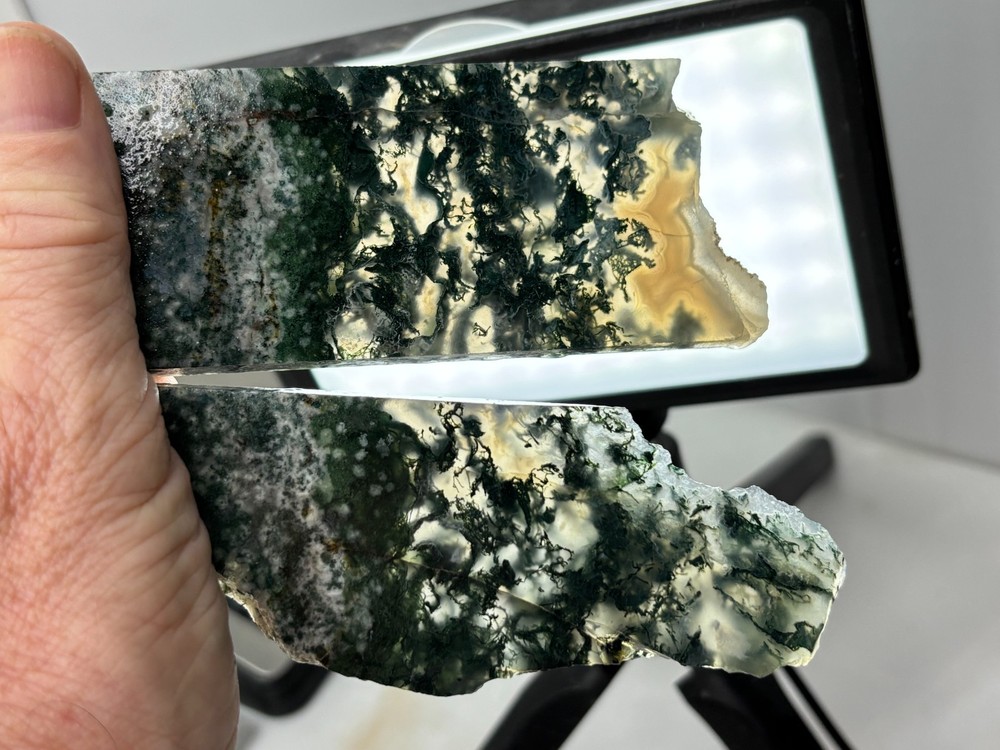 Semi-translucent Moss Agate Slabs Cabbing Lapidary Combo Ship Avail