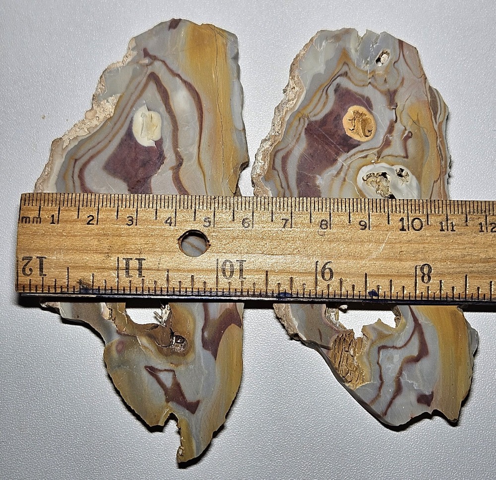 Rhyolite Two Lapidary Slabs 105 Grams