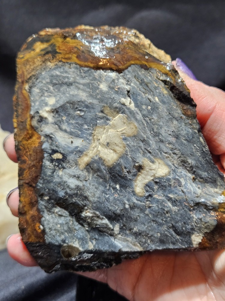Biggs Jasper Multi Colored w/ Dendric Specimen Natural Form (14oz)