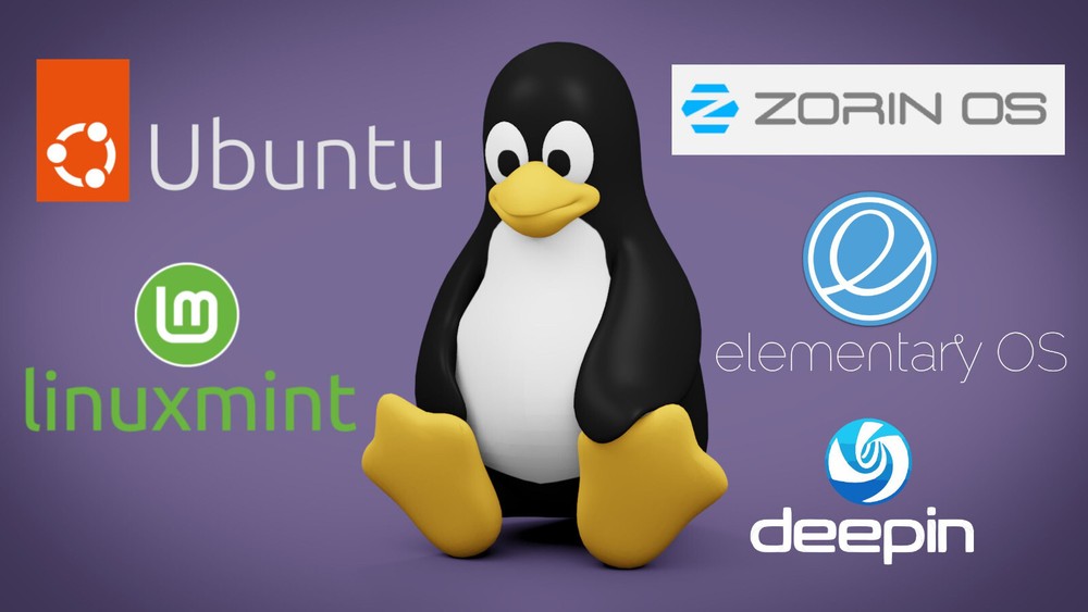 Ubuntu, Linux Mint, Zorin OS, Elementary OS - Preloaded Drive (for Mac & PC) (5)