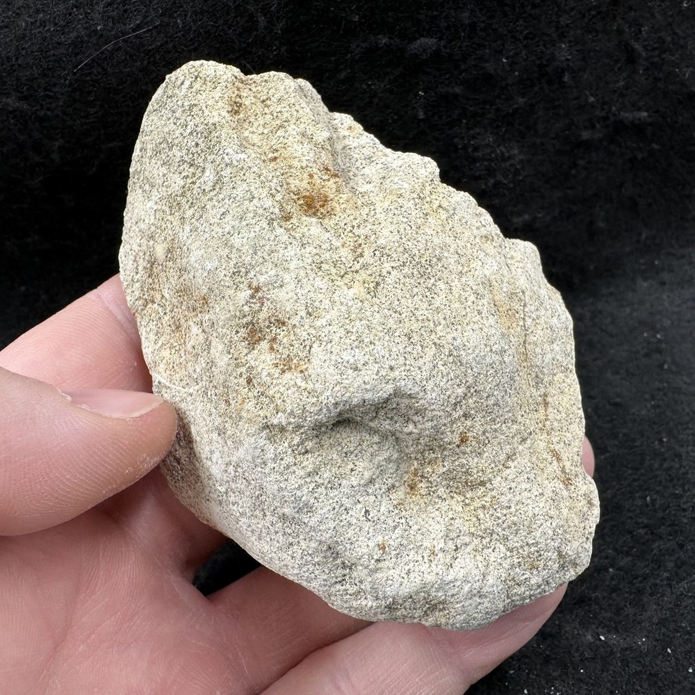 Upper Greensand, Cretaceous, Devon (TEACHING CLASS ROCK) GCSE GEOLOGY