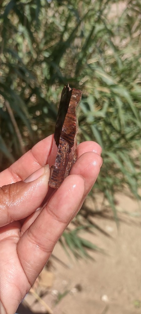 Lapidary Speckled Jasper Slab Agate Unknown Species Specimen