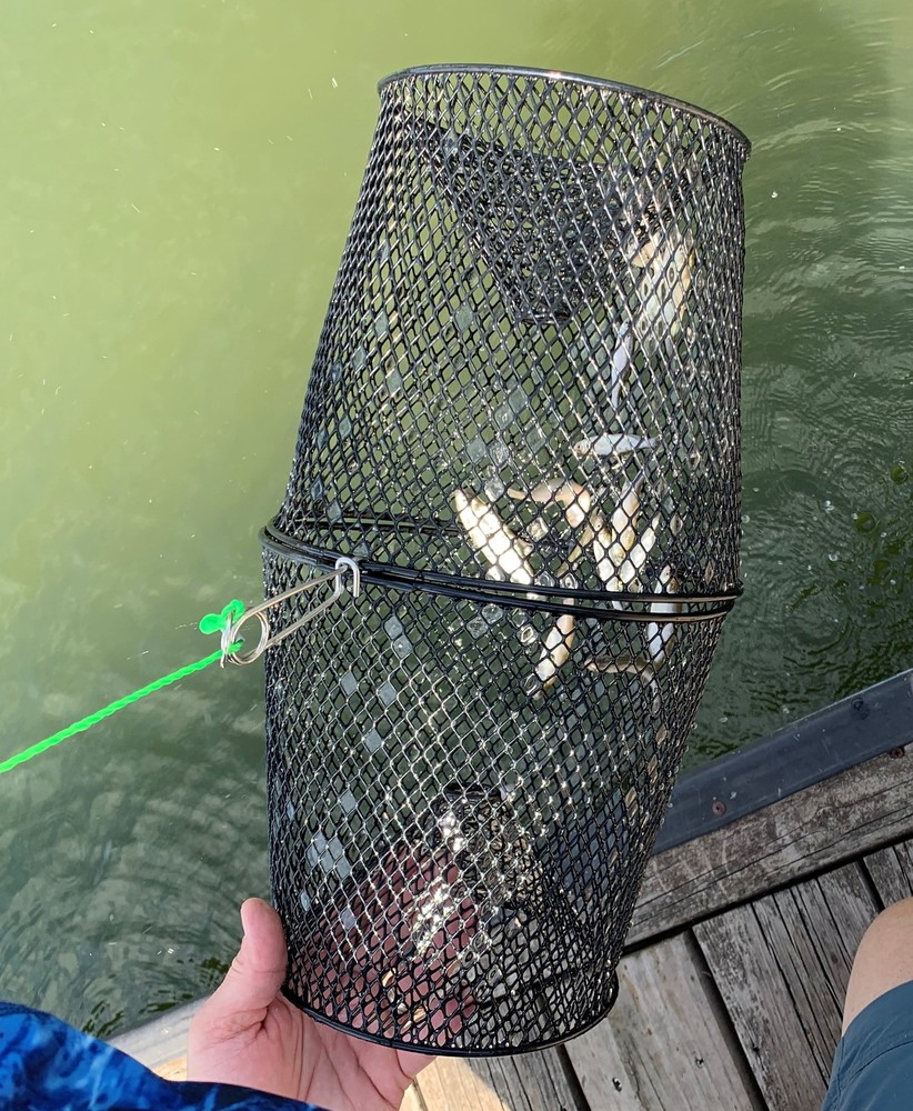 Torpedo Minnow Trap, Black Mesh, Fish Catching Tool