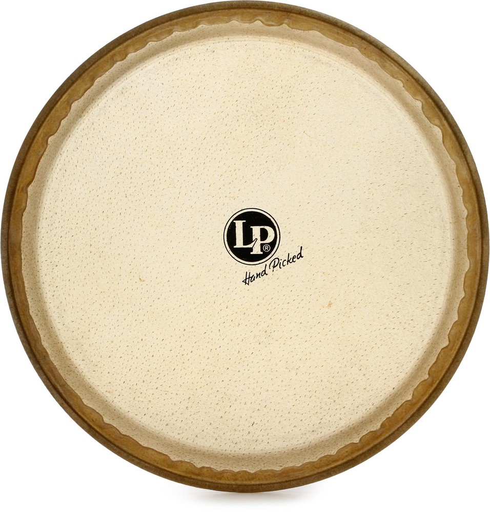 Latin Percussion Rawhide Conga Head - 11" - Quinto