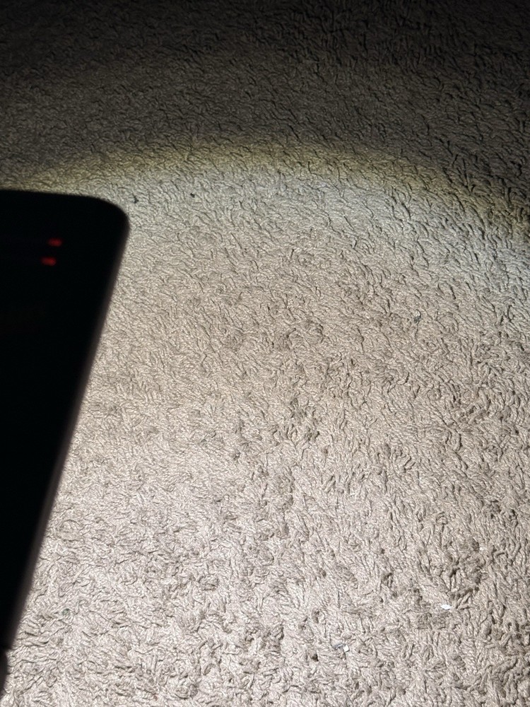 Meguiar’s Sunlight 3+ (MT103) Professional Light