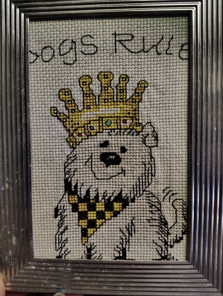 Dogs Rule