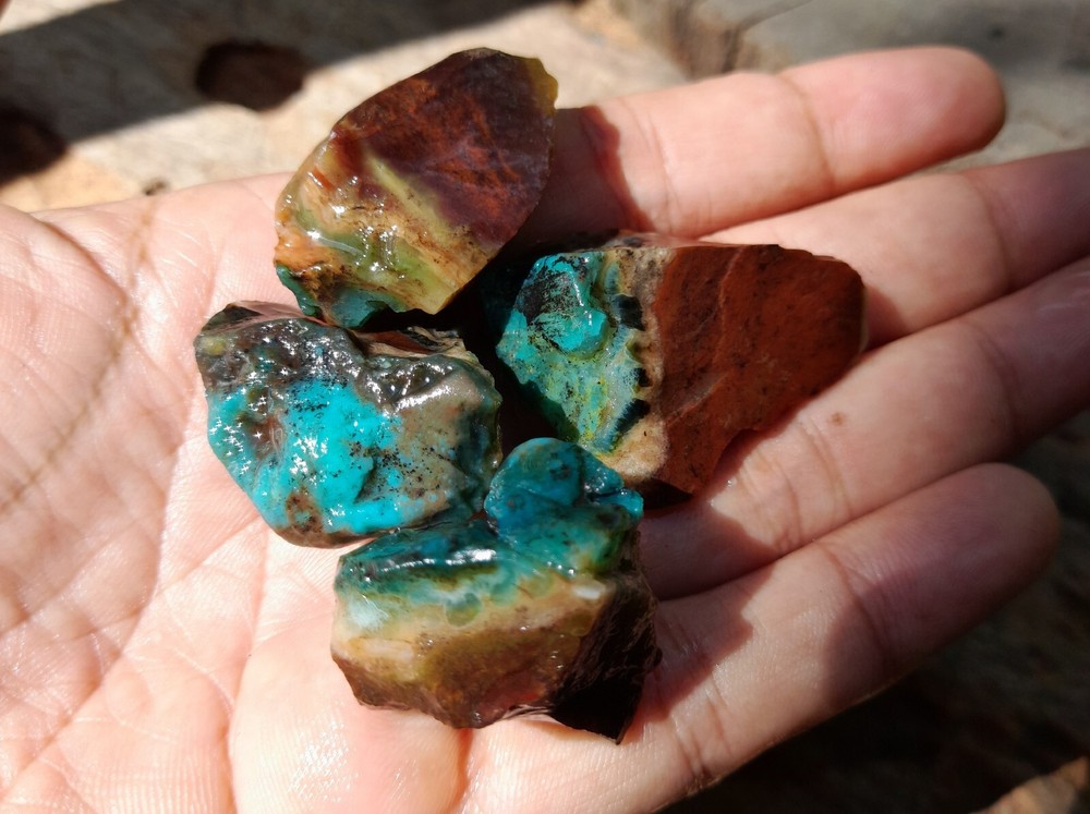 Get 4pc, Rare Natural Blue Opalized Petrified Wood, Indo Java Gem Minerals
