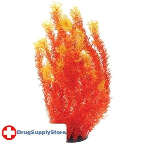 RA Orange Cabomba - 20"