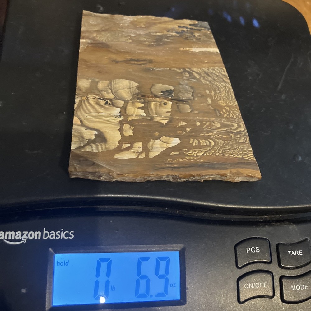 Biggs Jasper Slab (Oregon)