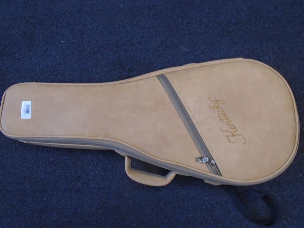 Kentucky KM-140 mandolin w/bag