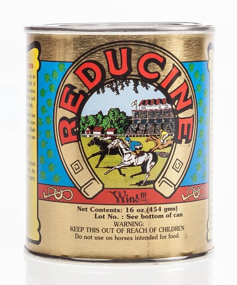 Reducine Absorbent, 16 oz