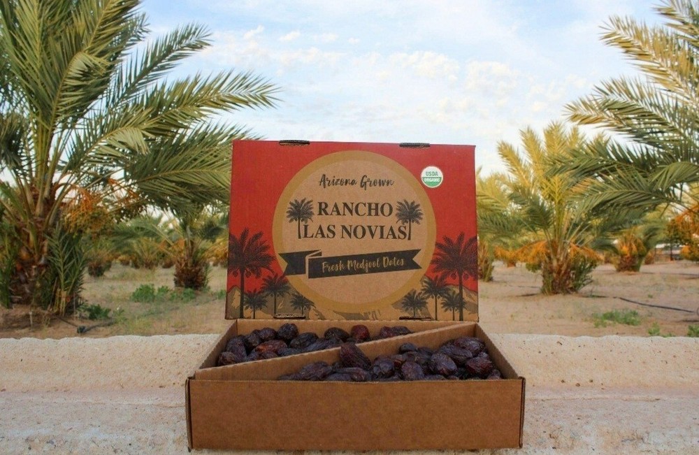 11lb CHOICE MEDJOOL DATES FRESH ARIZONA'S GROWN ORGANIC