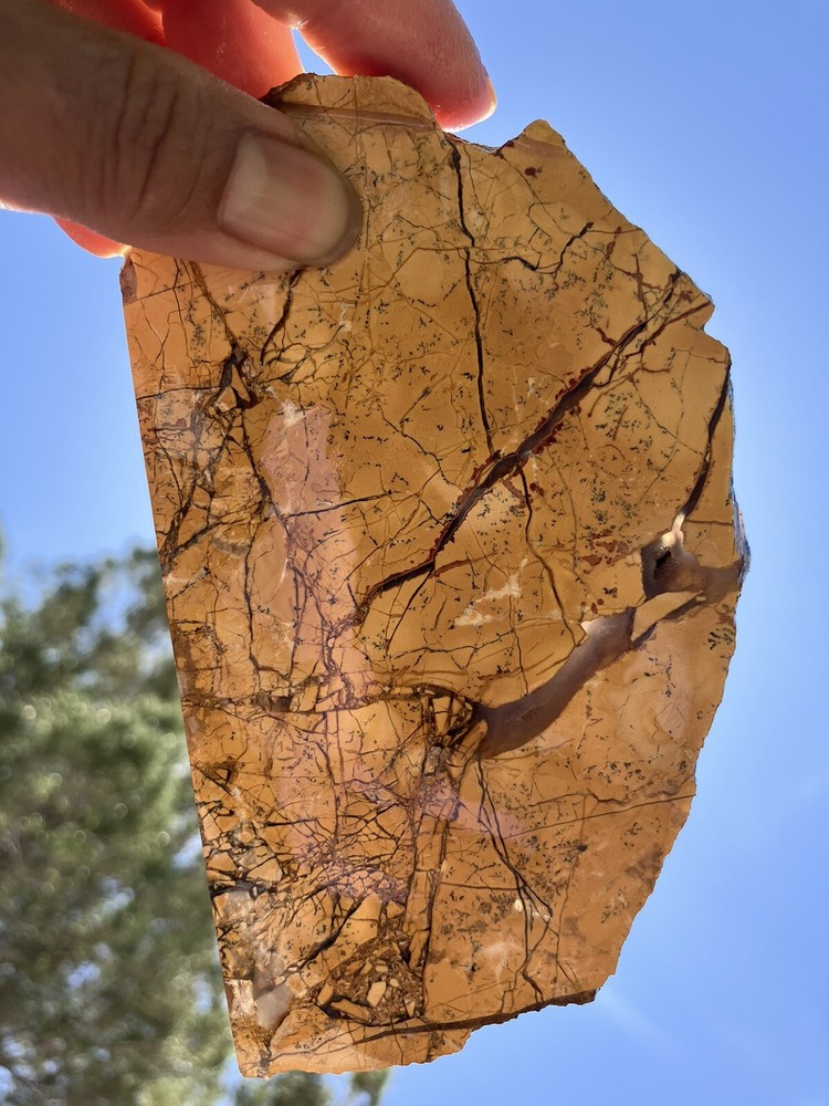 Brecciated Gold Jasper Slab