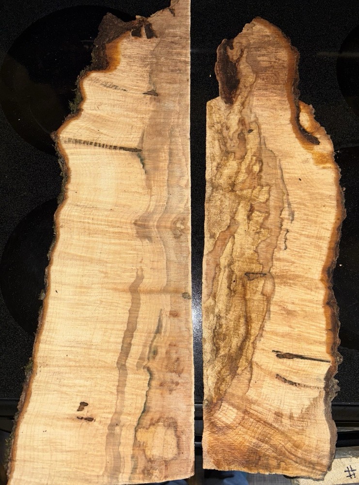 Curly Maple Slabs - 2 Pc Craft Bundle #2085