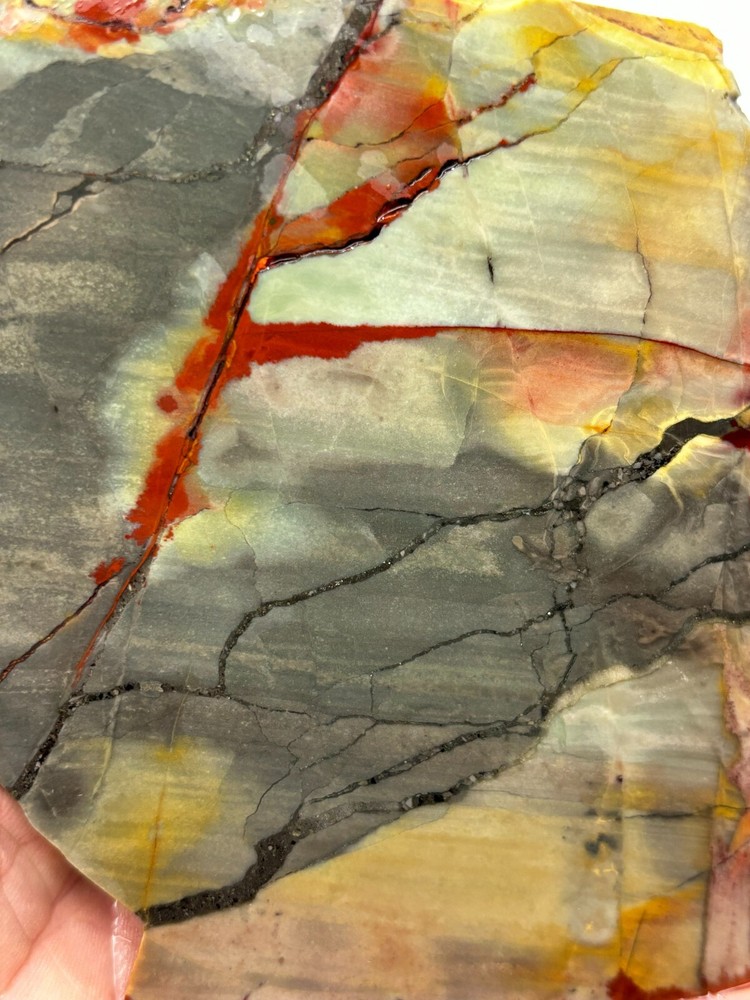 Arizona Polychrome Jasper aka Spring Jasper slab Cabbing Lapidary Combo ship avl