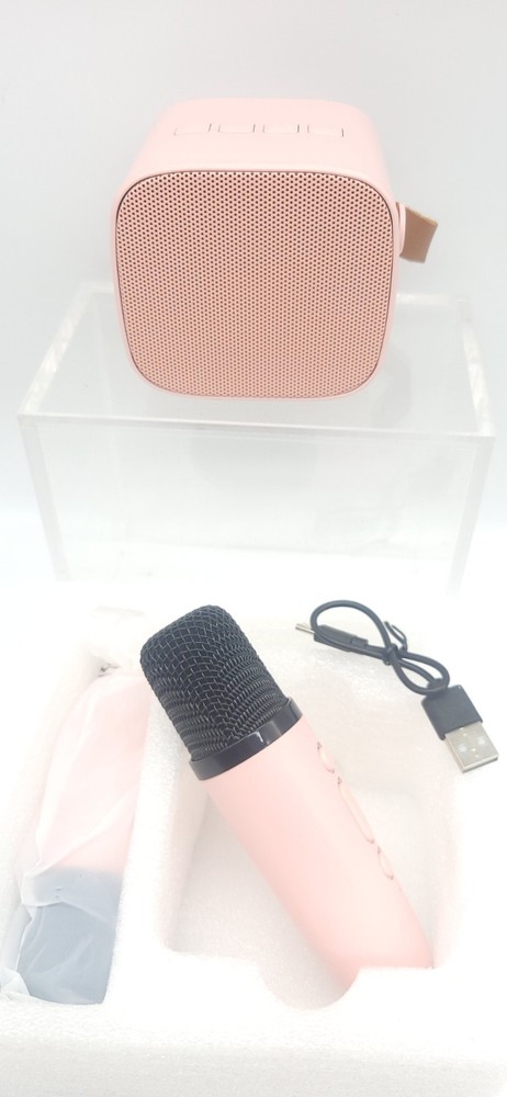 Portable Karaoke Bluetooth Speaker 2 Microphones
