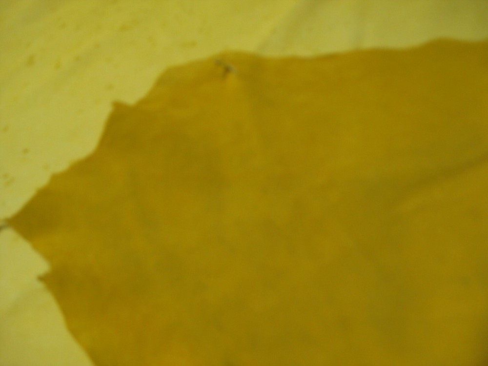 Top Grain Deer Leather # 0010877 ROW 22