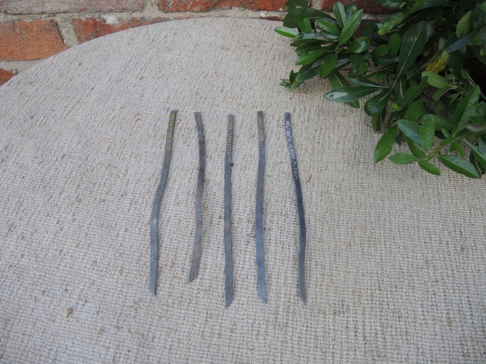 5 Old Vintage Lead  Botanical Plant Labels (737)