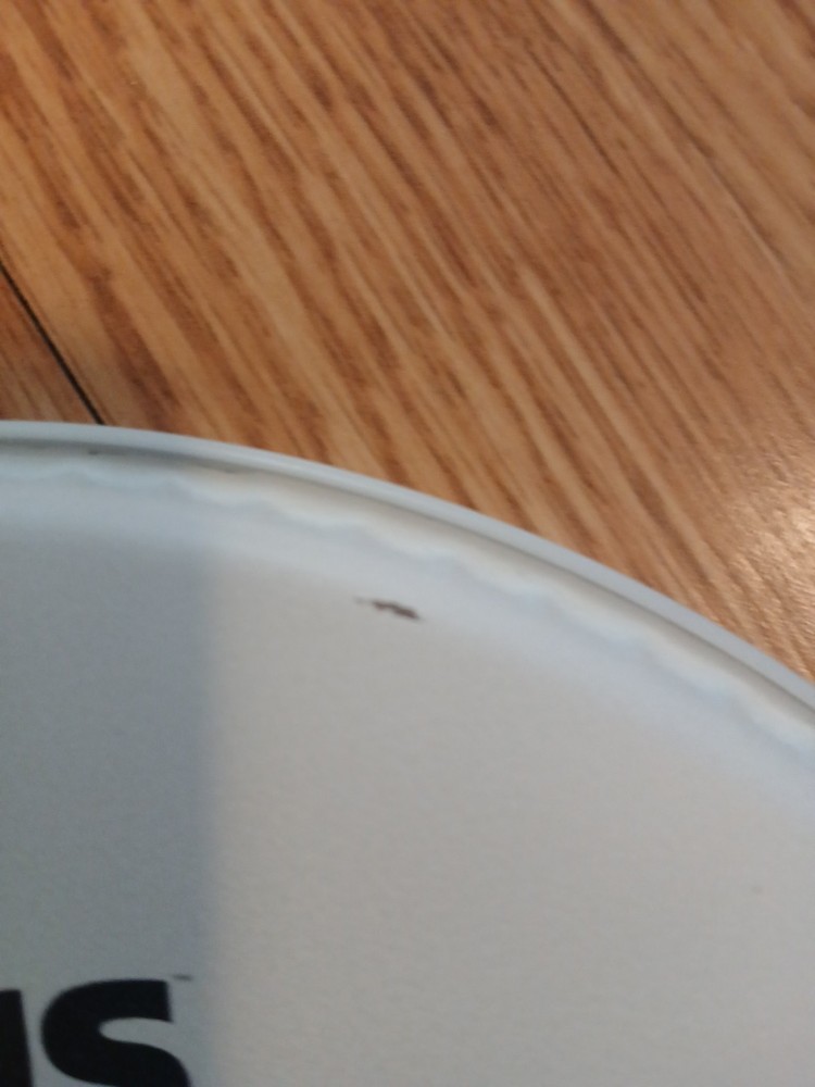 Evans G2 10" Coated Drum Head