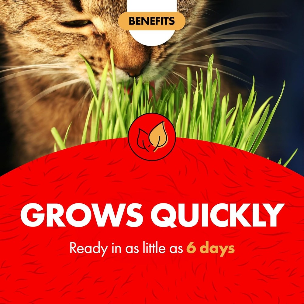 Indoor Cat Grass Kit Miracle Care 5.25 oz