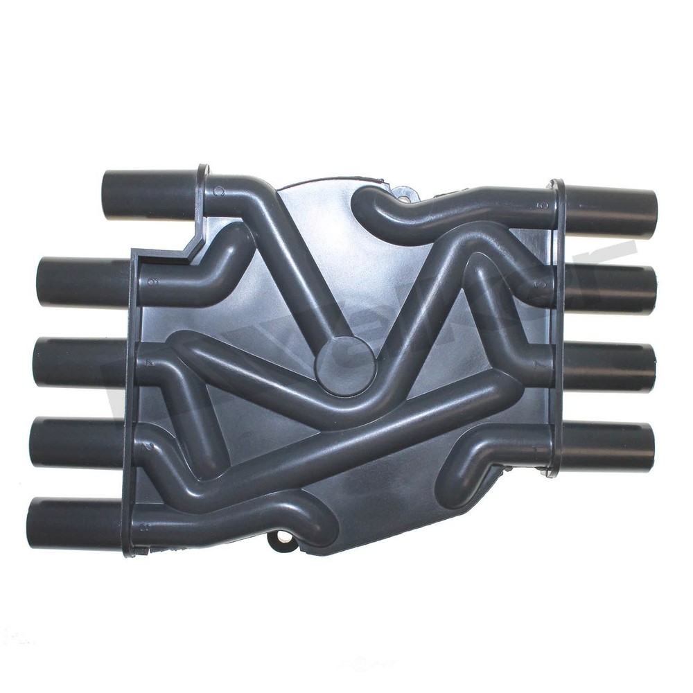 Dist Cap Walker Products 925-1013