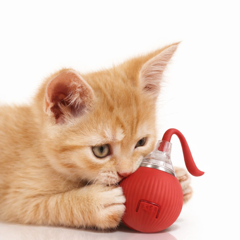 USB Rechargeable Interactive Cat Toy Ball Self Rotating Automatic Rolling LED Sm