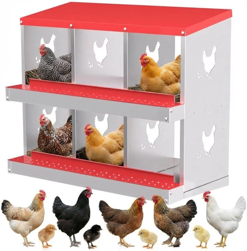 6 8 10-Hole Chicken Nesting Boxes – 2-Tier Egg Nesting Box with Removable Trays