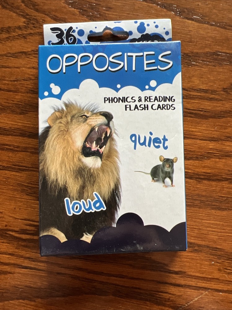 Opposites Phonics & Reading Flash Cards