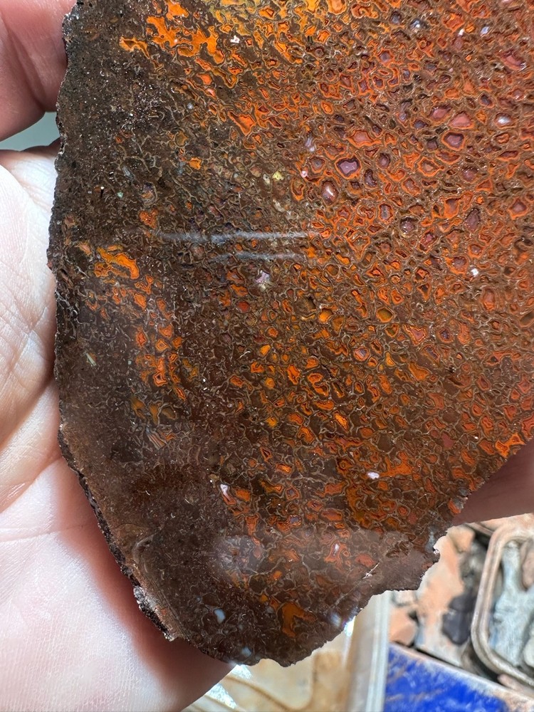 Dinosaur bone rough **hxtled slab.