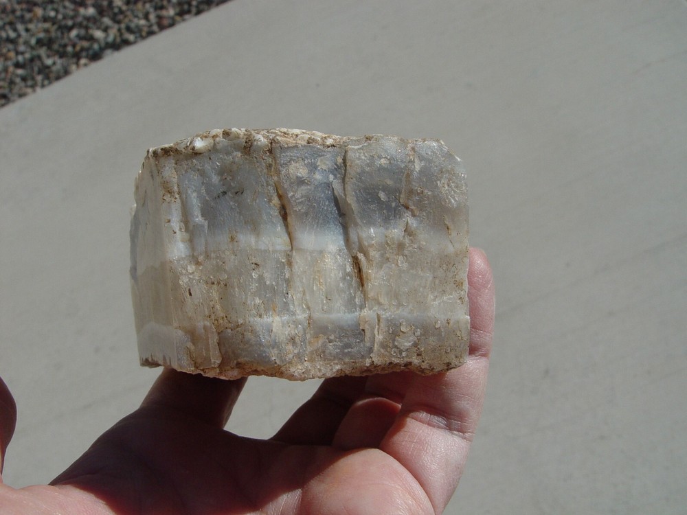 White Seam Agate Small Lapidary Rough T1043