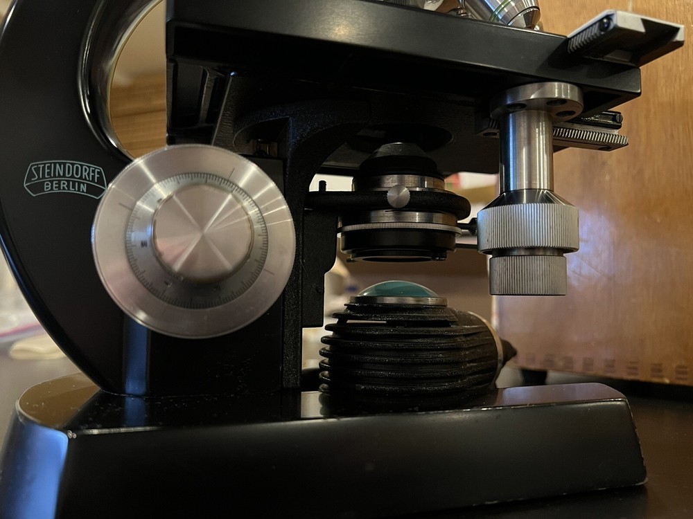 Vintage Steindorff Binocular Microscope with Wooden Case