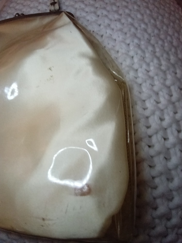 Vintage Hand Bag / Plastic Outer Cover