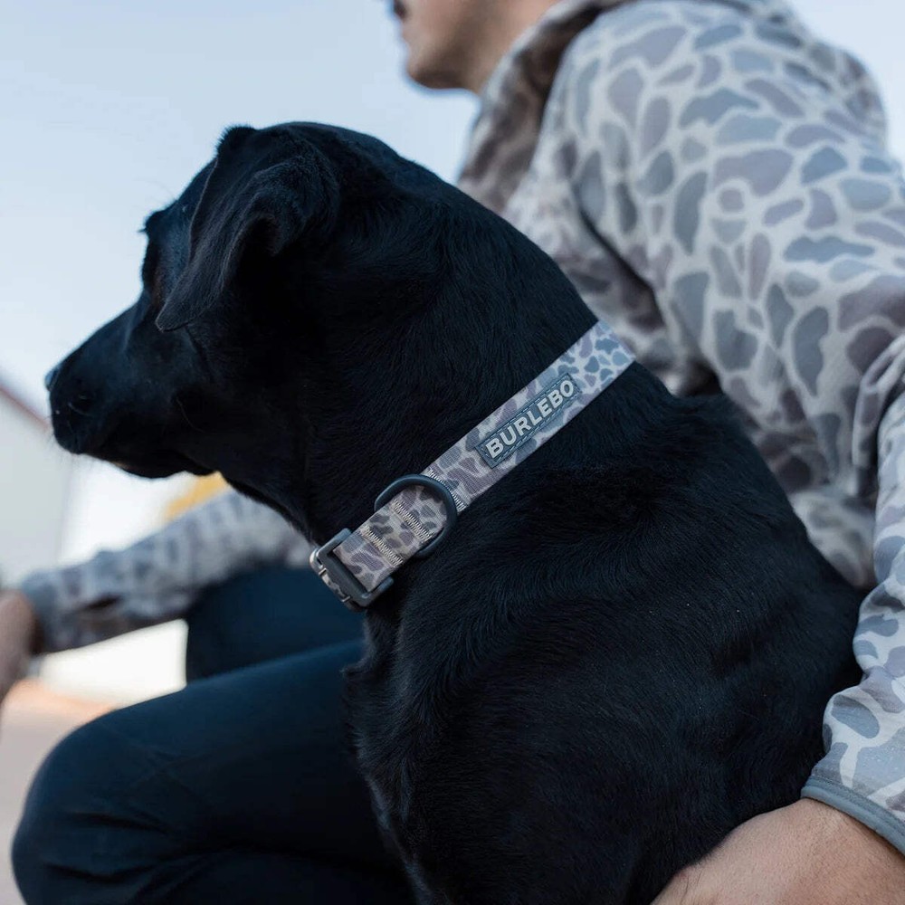 Burlebo Dog Collar
