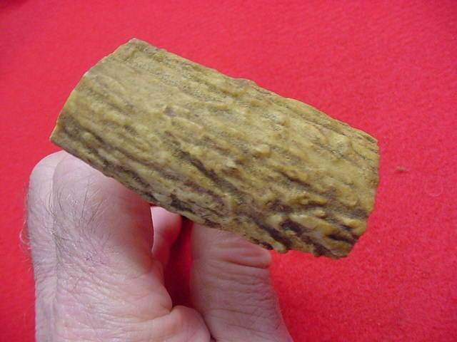 Muzzleloader Ball Starter- Brass w/Horn Handle- Nice !!