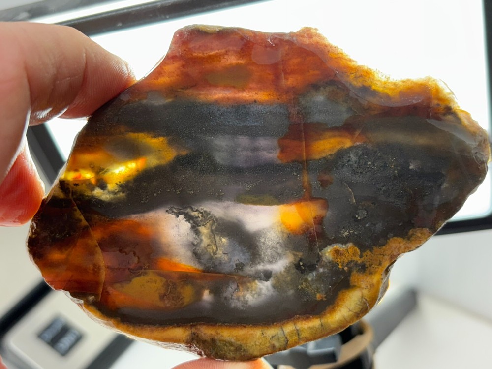 Oregon State Jasper Slab Cabbing Lapidary Carving Combo Ship Avail