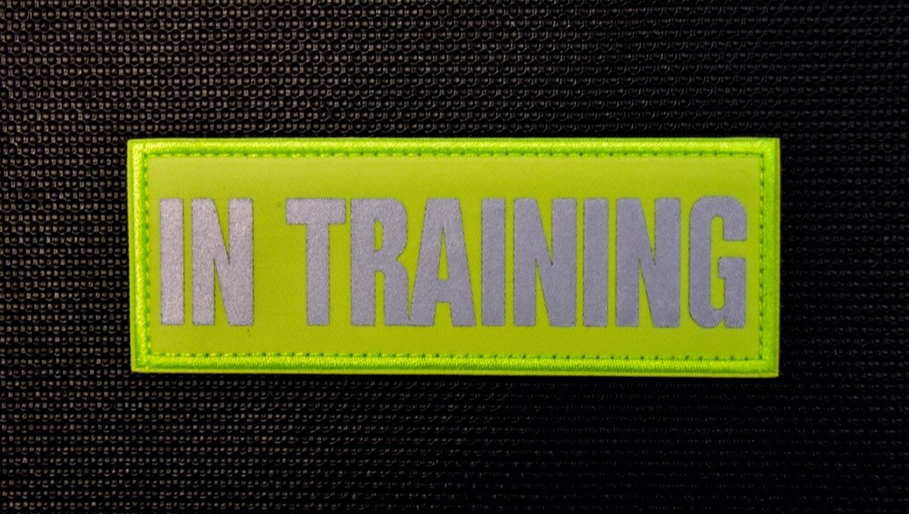 IN TRAINING Hi-Vis Reflective Patch Emotional Support Dog Harness Hook Backing