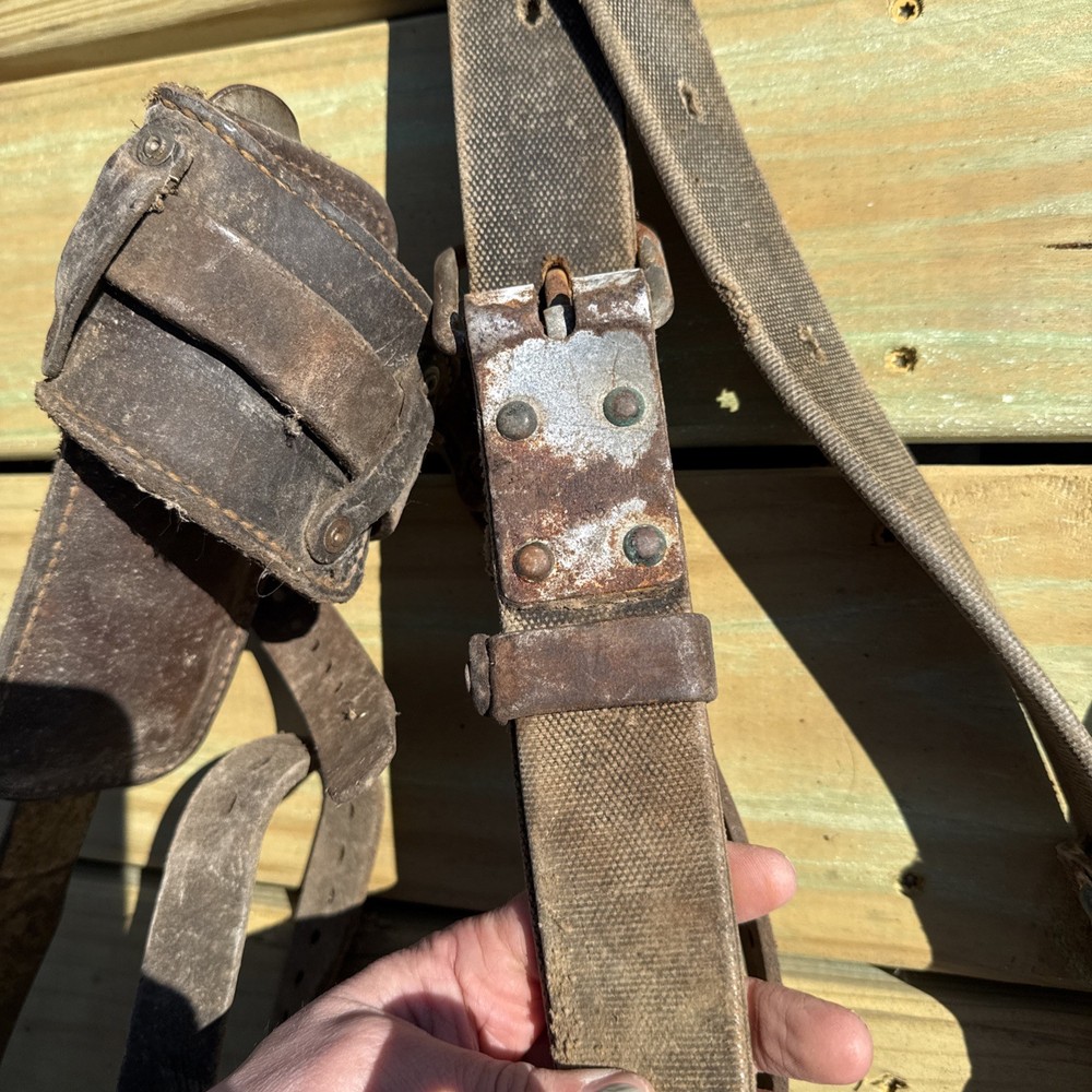 Vintage Pair BUCKINGHAM Climbing Spikes/ Lineman Pole-Tree