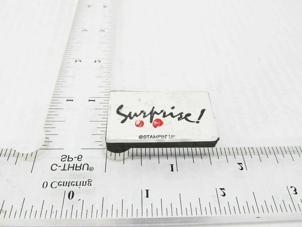 Surprise Rubber Stamp - Stamp Set C32