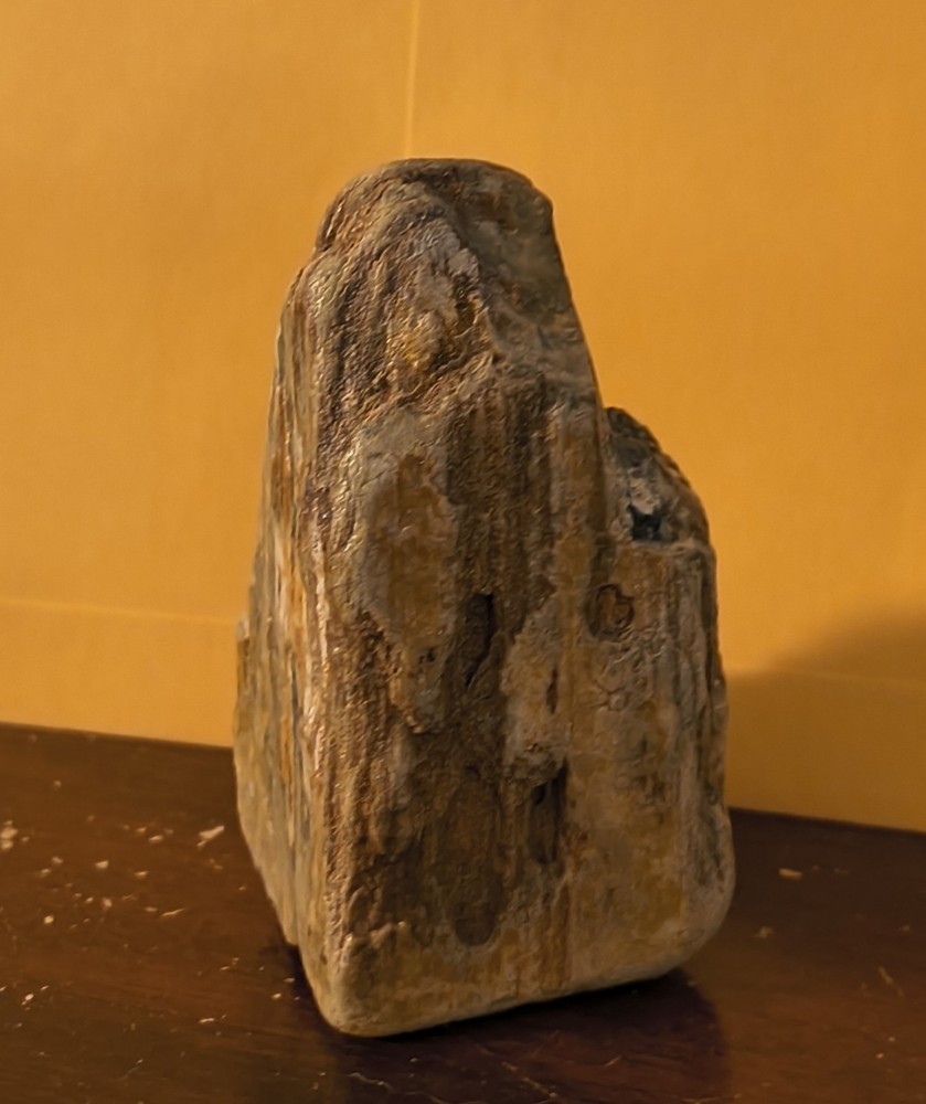 Petrified Wood Approximately 3 In Tall