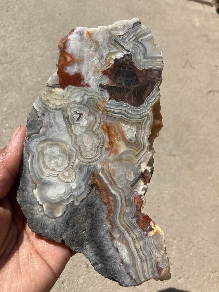 Crazy Lace Agate Slab