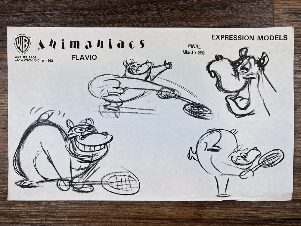 Animaniacs 1992 Production Art Expression Studio Copy Warner Brothers Animation